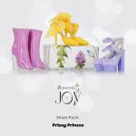 JAMIEshow - Muses - Moments of Joy - Shoe Pack - Prissy Princess